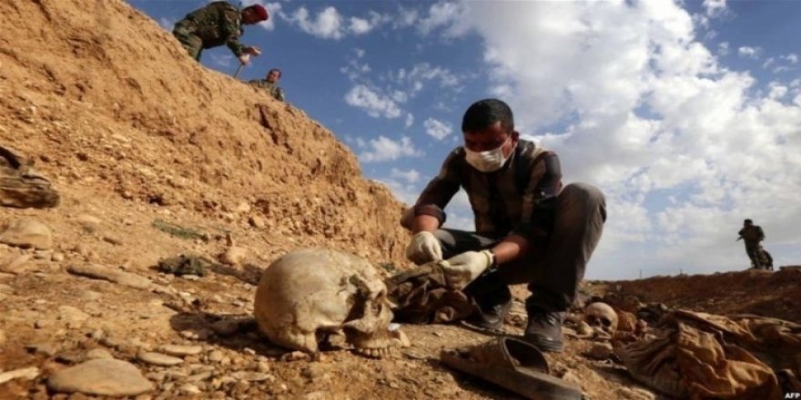 Dezgayê Şehîdan hejmara gorên komî yên hatine dîtin aşkera dike