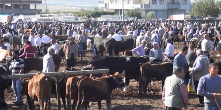 Mezintirîn bazara ajelan li Bakurê Kurdistanê hat girtin