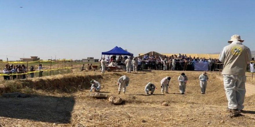 Li Şingalê ji gora komî termên 80 jinên êzidî derketin