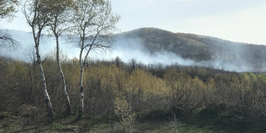 Pulur de operasyon: Leşkeran daristan de şewat vet