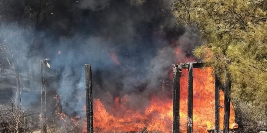 Agir bi geliyê Duhokê ket – Ziyanek mezin gihîşt jîngeha deverê