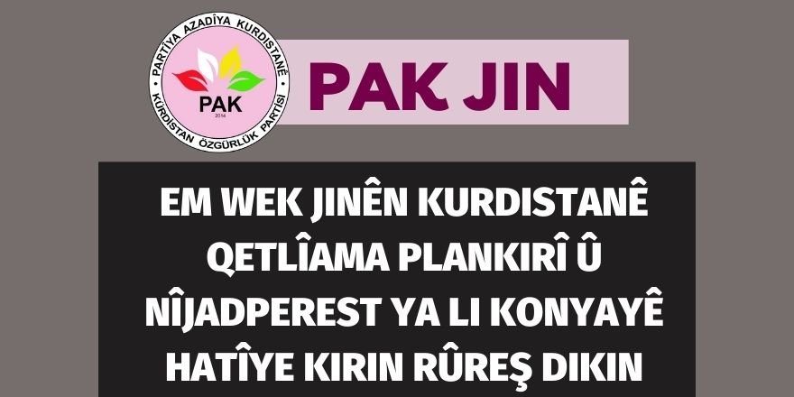 PAK-JIN:  Em wek jinên Kurdistanê qetlîama plankirî û nîjadperest ya li Konyayê hatîye kirin rûreş dikin