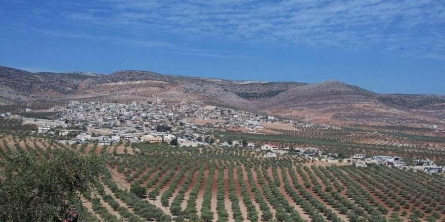 Efrîn.. Çekdarên ser bi Tirkiyê ve 4 kes revandin