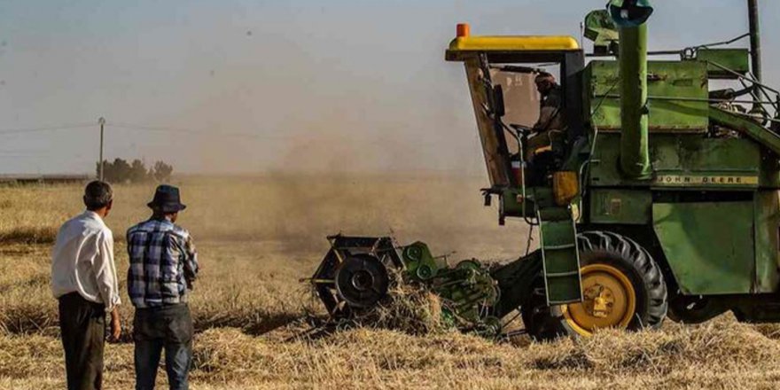 Rêveberiya Xweser dest bi wergirtina genimê cotkaran kir