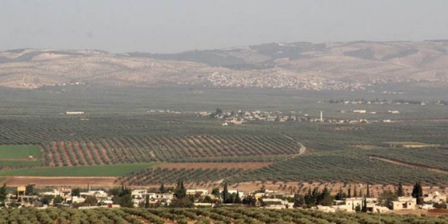 Hêzên Tirkiyê li Efrînê zêdetirî 100 daran birîn