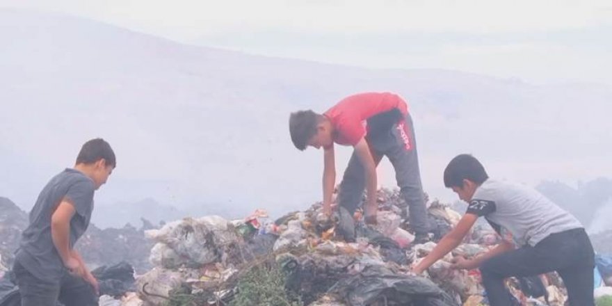 Amed di warê tevlîbûna sûcan a zarokan de di rêza pêcemîn de ye