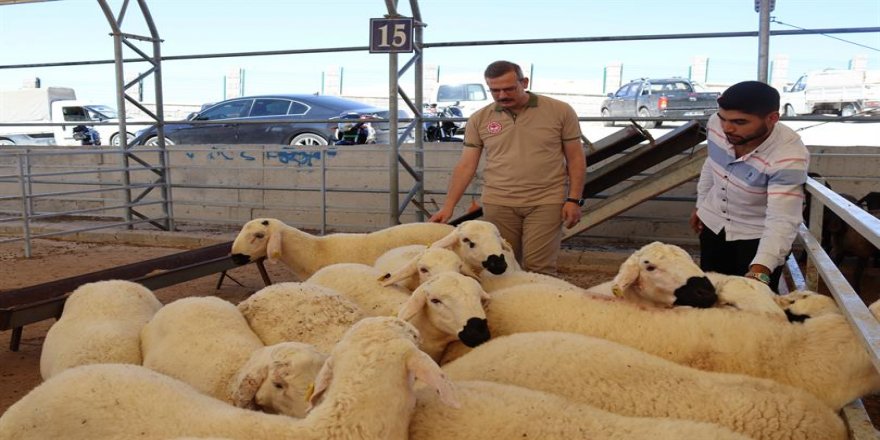 Li Diyarbekir bihaya ajelên qurbanê qatan zêde bûne