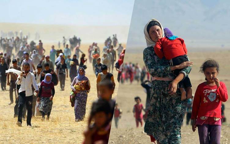 Li Swîsreyê 80 hezar îmze ji bo nasandina komkujiya li dijî Kurdên Êzidî hat komkirin