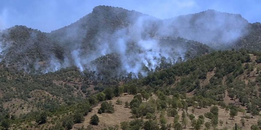 Li Amêdiyê ji ber bombebarana Tirkiyê agir bi daristan û zeviyan ket