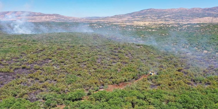 Li Amedê di nava du rojan de 25 hektar zevî û daristan şewitîn