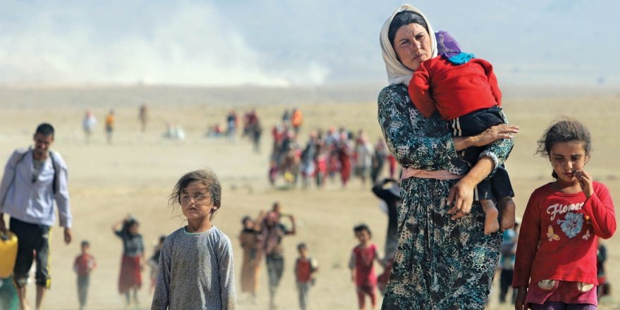 ‘120 hezar Êzidiyan ji Iraq û Herêma Kurdistanê koç kiriye’