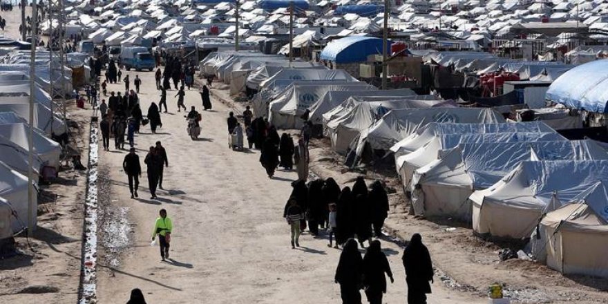 220 malbatên DAIŞiyan dê ji Kampa Holê bên derxistin