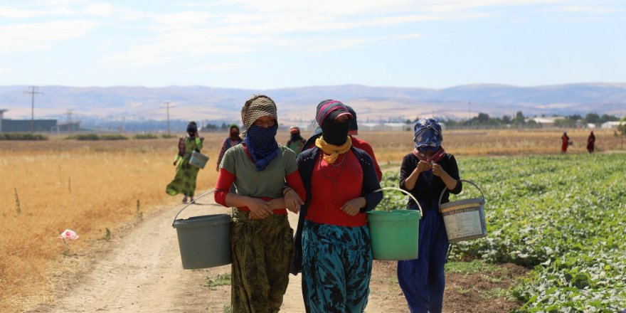 NY Times: Mezopotamyaya ku şaristanîyê lê dest pê kiriye ziwa ye!