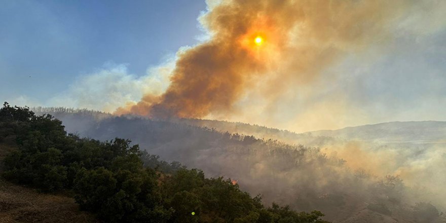 5 roj in daristanên navçeya Kexî ya Çewlîgê dişewitin