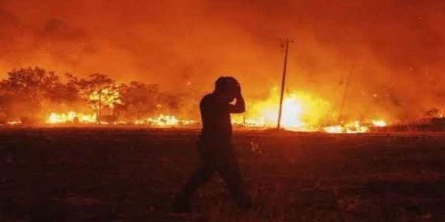 Amed û Mêrdîn wekî 'Herêma Karesatê' hatin ragihandin