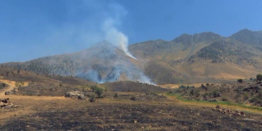 Balafirên Tirkiyeyê deverên Biradostê bombebaran kirin