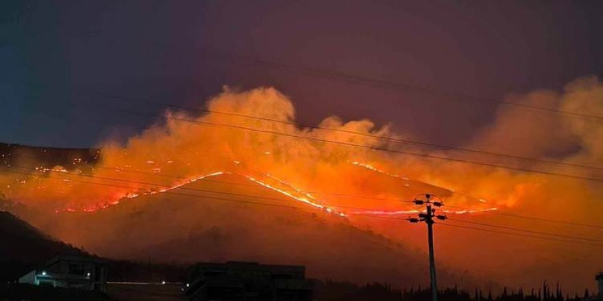 Li Çiyayê Goyjeyê yê Silêmaniyê agir bi daristanê ket