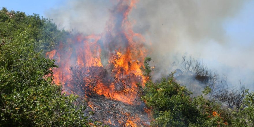 6 roj in agirê çiyayên Efrînê nehatiye vemirandin