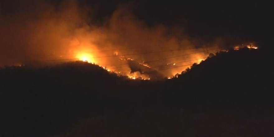 Agirekî mezin bi Çiyayê Nizarkê yê Dihokê ketiye