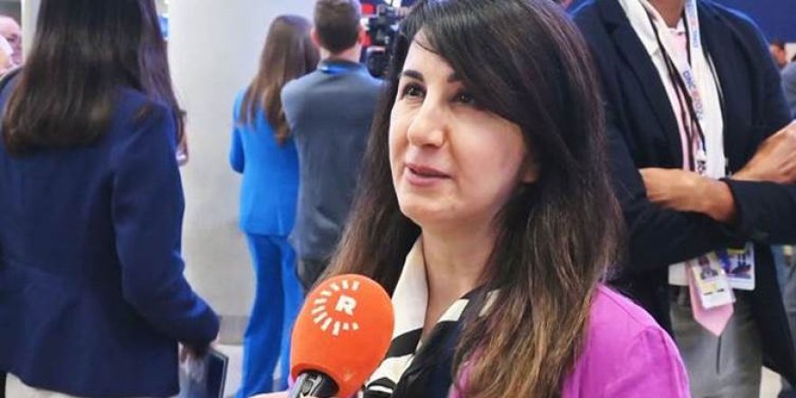 ‘Em dixwazin tecrubeya Amerîkayê veguhêzin Kurdistanê’