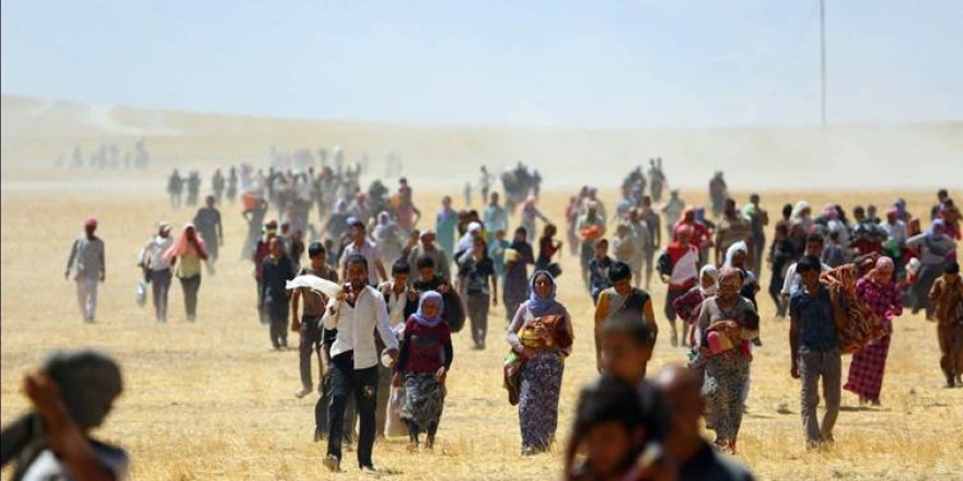 Îrlanda komkujiya Kurdên Êzidî gotûbêj dike