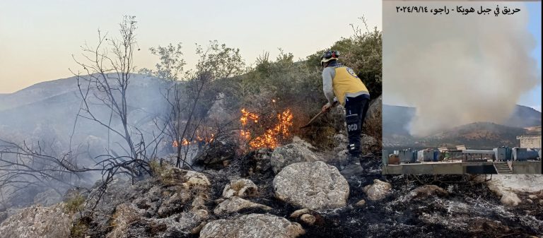 Efrîn di bin dagîrkeriyê de (300)