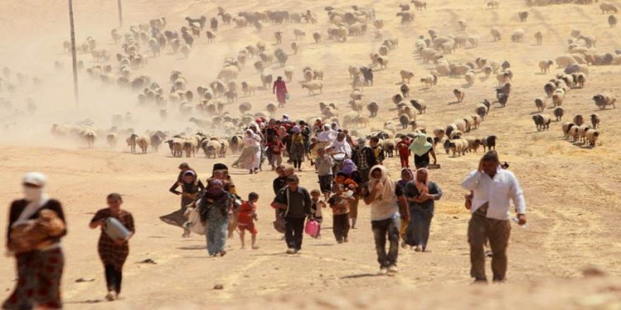 SWÊD- Dadgehê ji ber Komkujiya Kurdên Êzidî 12 sal cezayê girtîgehê da jinekê