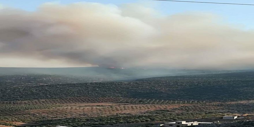 Hêzên Tirkiyê û çekdarên opozisyonê daran li Efrînê dibirrin